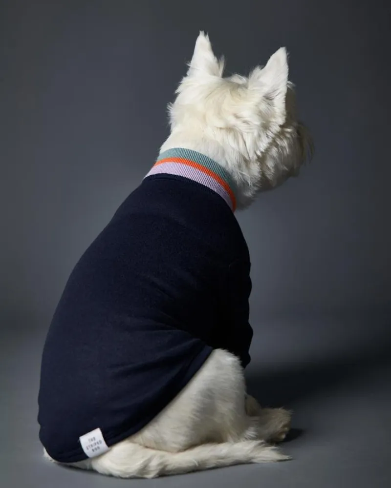 Lakewood Navy Pullover Dog Sweater With Striped Neckline & Cuffs (CLEARANCE)