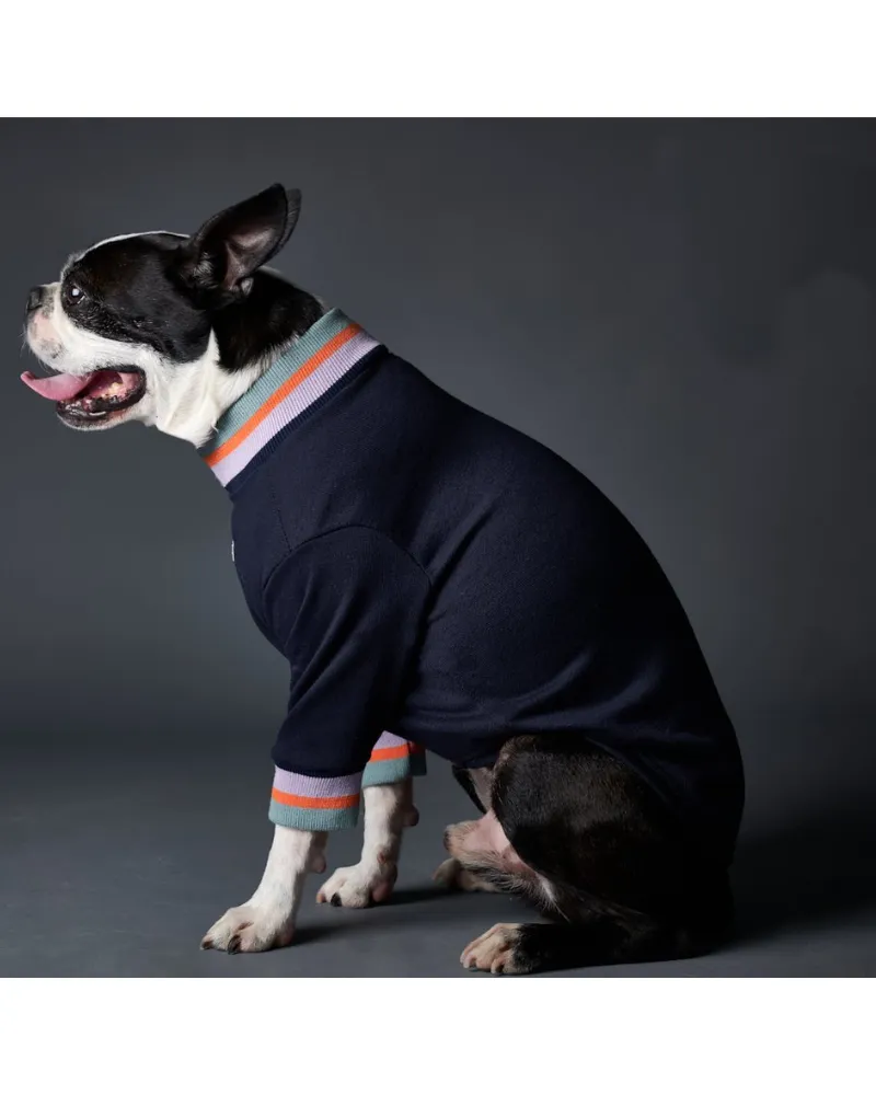 Lakewood Navy Pullover Dog Sweater With Striped Neckline & Cuffs (CLEARANCE)