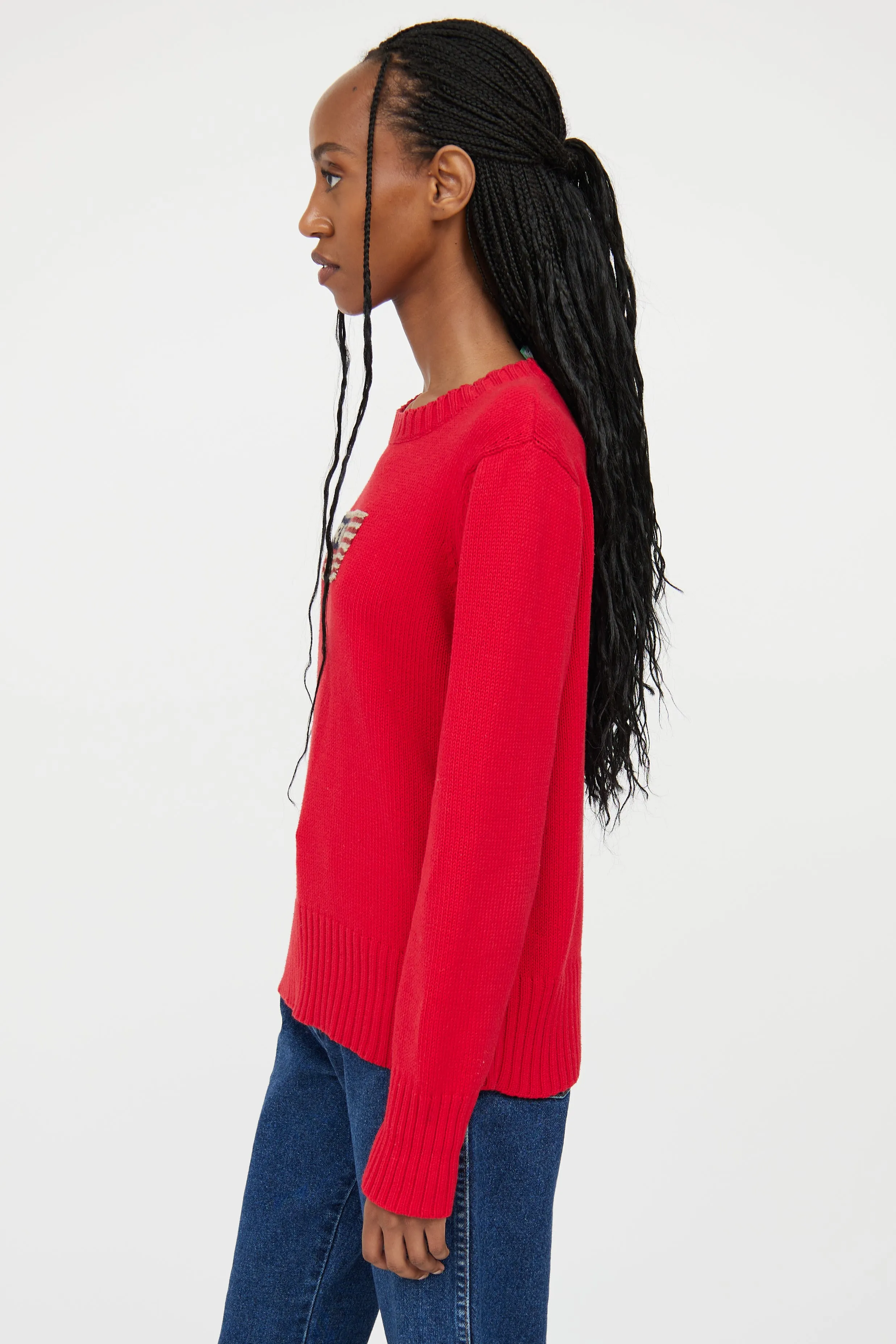 Polo Red Knit Flag Sweater