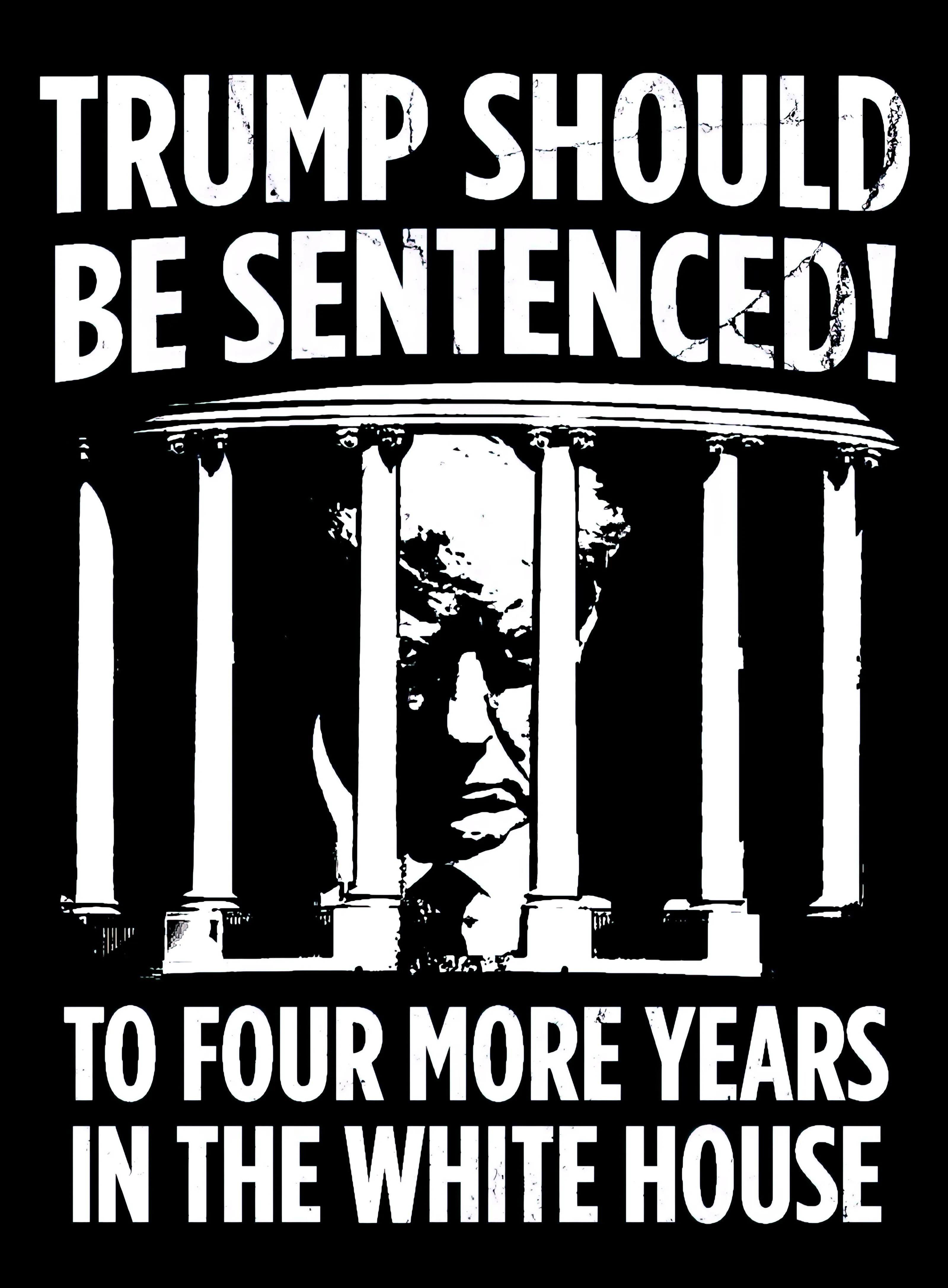 Trump Sentence T-shirt